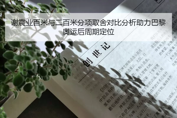 谢震业百米与二百米分项取舍对比分析助力巴黎奥运后周期定位