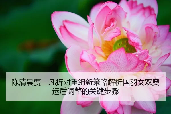 陈清晨贾一凡拆对重组新策略解析国羽女双奥运后调整的关键步骤