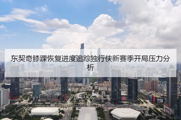 东契奇膝踝恢复进度追踪独行侠新赛季开局压力分析