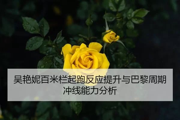 吴艳妮百米栏起跑反应提升与巴黎周期冲线能力分析