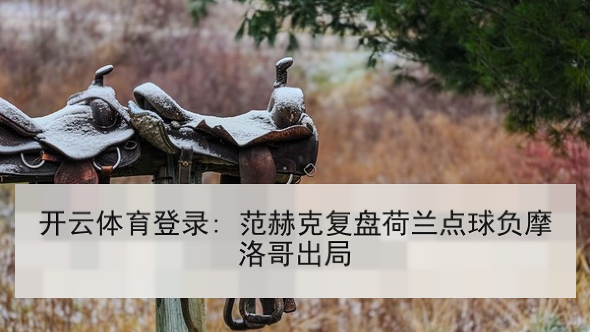 开云体育登录: 范赫克复盘荷兰点球负摩洛哥出局