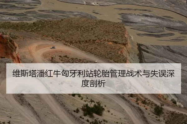维斯塔潘红牛匈牙利站轮胎管理战术与失误深度剖析