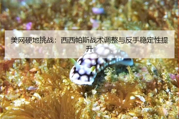 美网硬地挑战：西西帕斯战术调整与反手稳定性提升