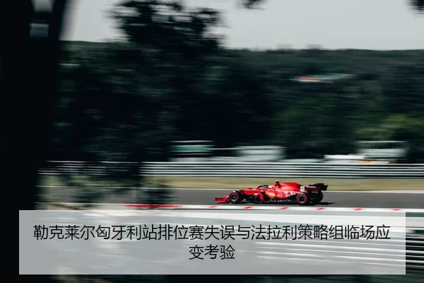 lei-ke-lai-er-xiong-ya-li-zhan-pai-wei-sai-shi-wu-yu-fa-la-li-ce-lve-zu-lin-chang-ying-bian-kao-yan-2-776.jpg