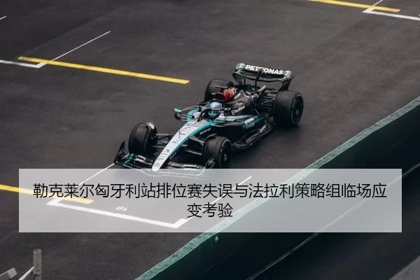 lei-ke-lai-er-xiong-ya-li-zhan-pai-wei-sai-shi-wu-yu-fa-la-li-ce-lve-zu-lin-chang-ying-bian-kao-yan-3-379.jpg
